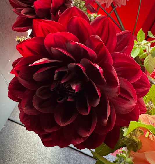 After Dusk